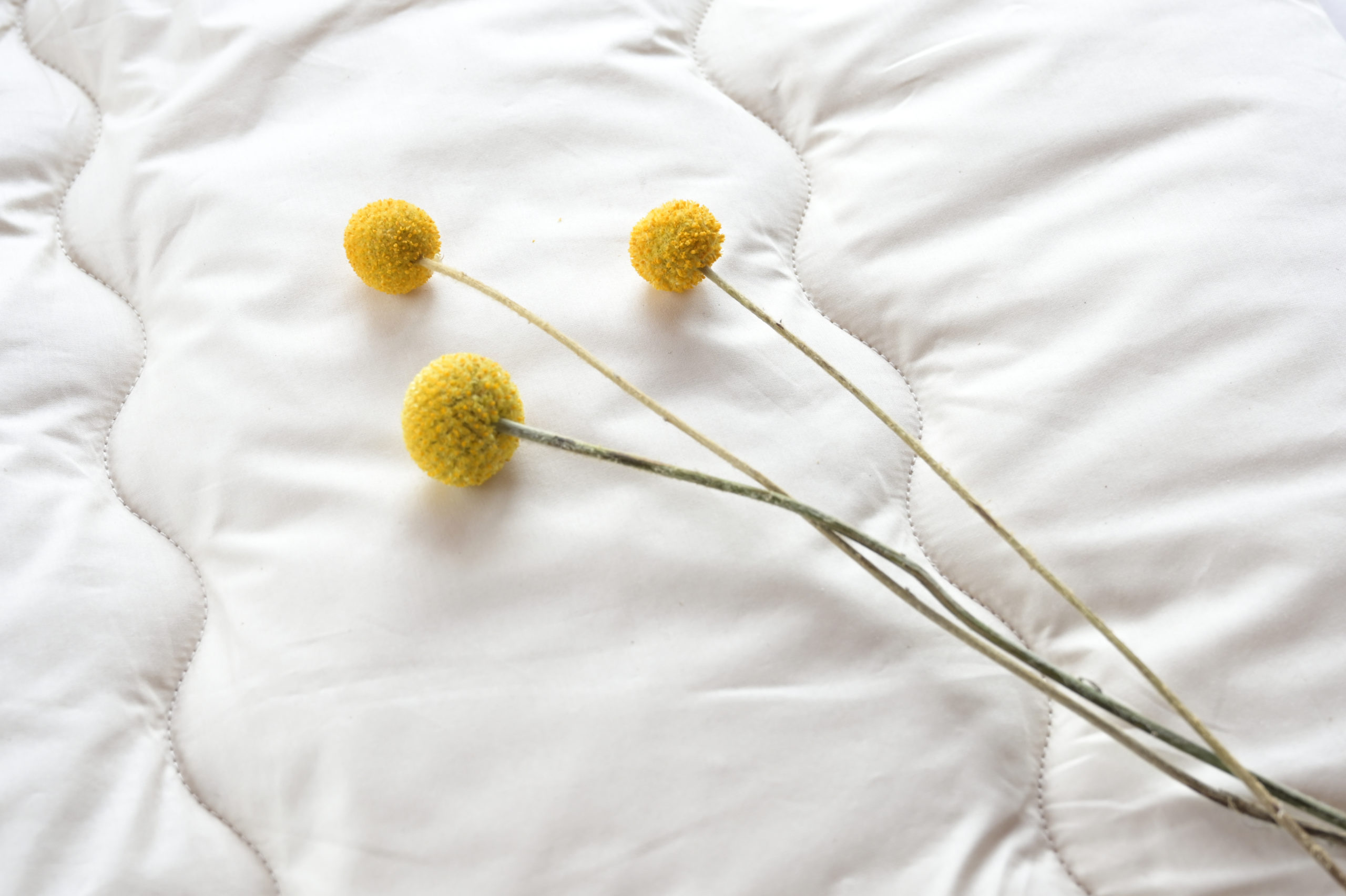 Ava Innes Reimagining luxury bedding with Scottishmade sustainable